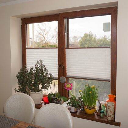 Plisētas žalūzijas