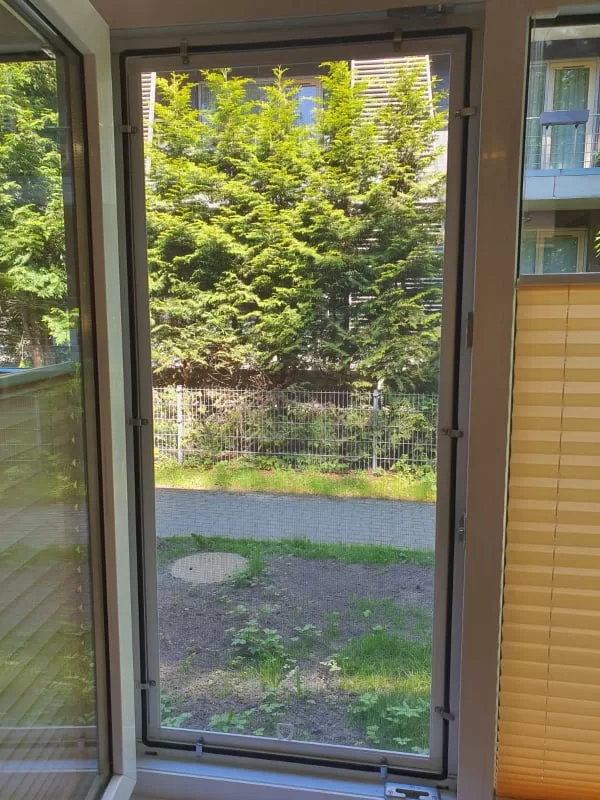 Moskītu siets